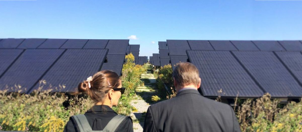 Solar Strand, University at Buffalo, Buffalo, US. Design: Walter Hood